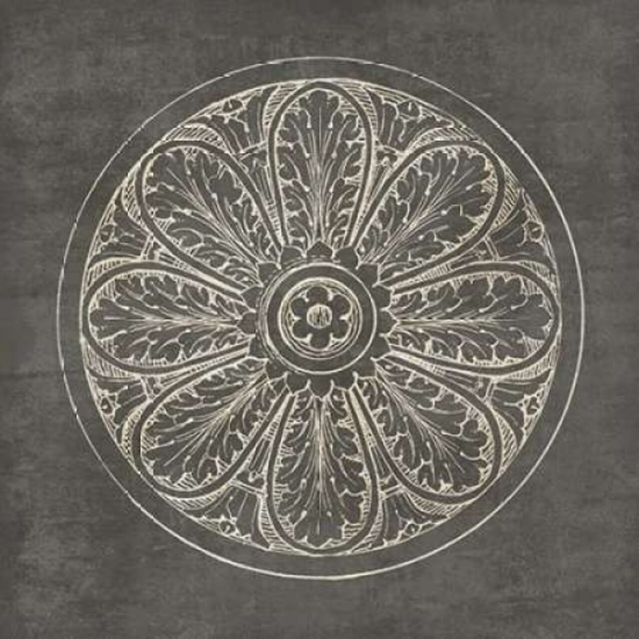 Rosette VIII Gray Poster Print by Wild Apple Portfolio - Item # VARPDX21580